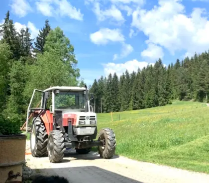 Steyr 8075 A RS2