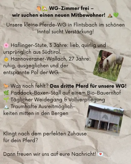 Einstellplatz, Vollpension