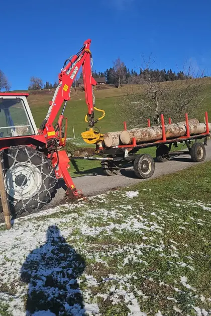 Leichter Kran 450 kg mit Hänger