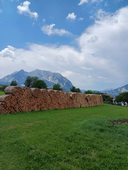 Buchenbrennholz