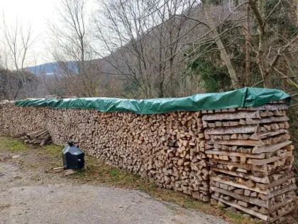 Brennholz Esche/Buche