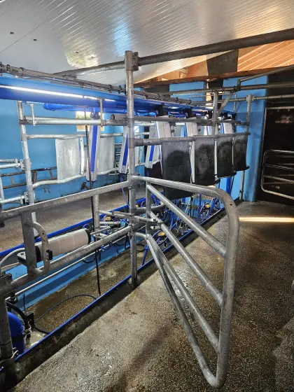 Melkstand, komplette Melktechnik