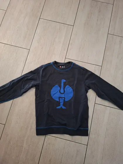 Strauß-Pullover
