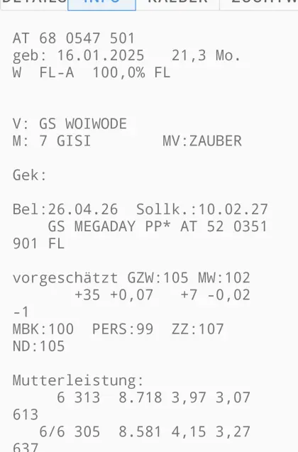 Verkaufe trächtige Kalbin