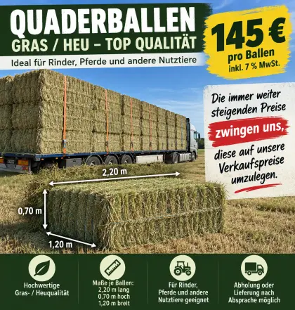 Heu-Quaderballen, Ernte 2026, 220 × 120 × 70 cm