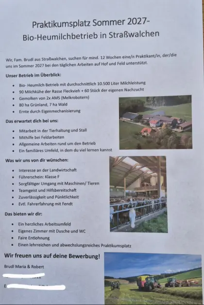 Suchen Praktikant/in