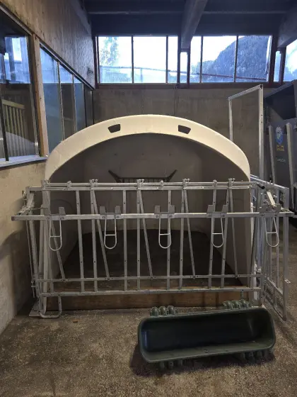Kälberiglu XXL