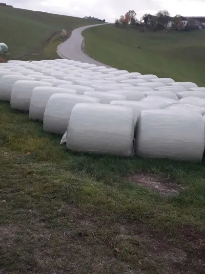 Bio-Maissilageballen