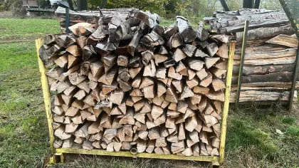 Buchenholz