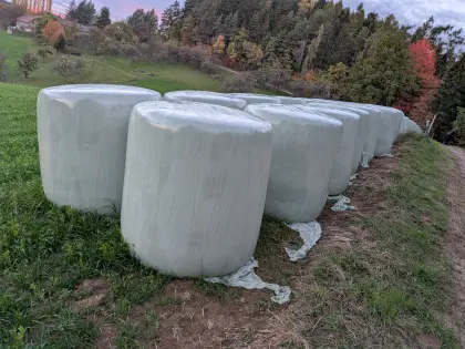Silomaisballen