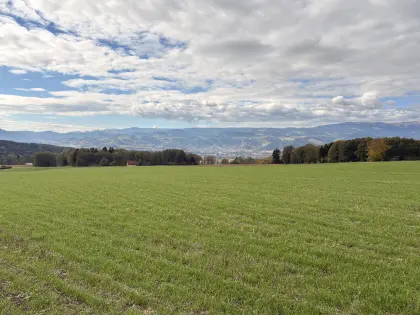 Suche Pachtflächen