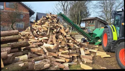 Brennholz-Zuschnitt