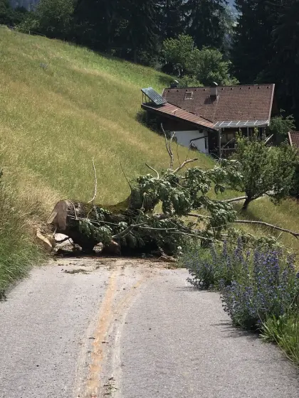 Biete Forstarbeiten im Raum Osttirol/Oberkärnten