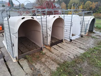 Kälberiglu