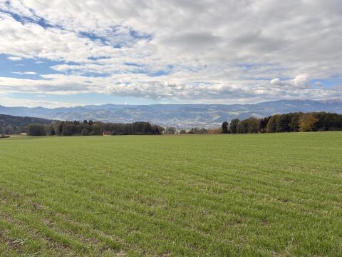 Suche Pachtflächen