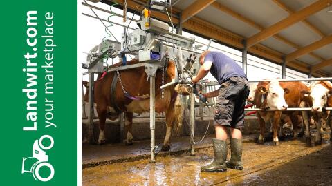 Speedfix: Klauenpflege direkt am Fressgitter | landwirt.com