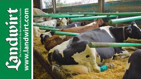Cow-Welfare Flex Stalls Liegeboxenbügel aus Kunststoff