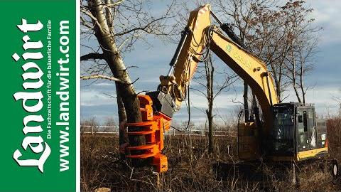 Problembaumfällung mit dem Woodcracker