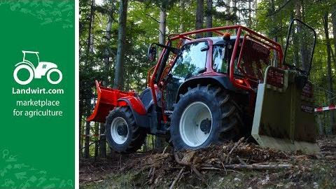 Austrofoma 2019 - Holzknecht in Action
