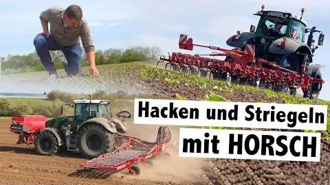 Mechanische Unkrautbekämpfung mit Horsch Hackgerät Transformer 6 VF und Horsch Striegel Cura 12 ST