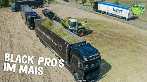 AGRARLOHN Müritz | FENDT Traktoren & CLAAS Jaguar 980 im Mais