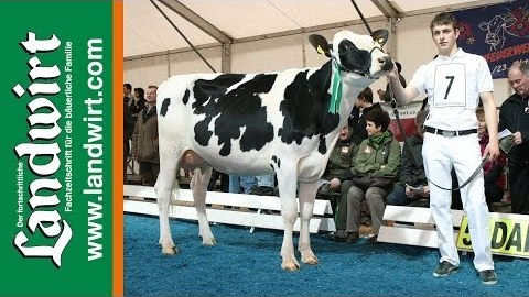 5. Dairy Grand Prix