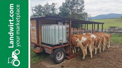 Weidetaxi im Selbstbau