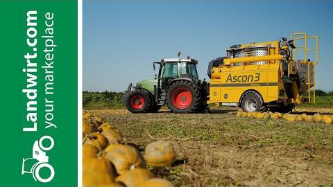 Kürbiserntemaschine PHOENIX | landwirt.com