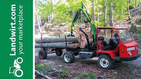 Selbstgebauter Elektromuli | landwirt.com