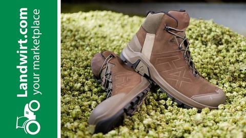 Haix Connexis Safety Plus - Der Schuh für Macher | landwirt.com