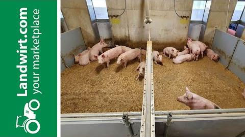 Emissionsarmer Tierwohlstall | landwirt.com