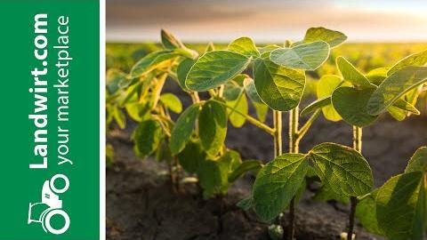 Soja und Alternativen | landwirt.com
