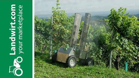 Vom Weinberg in die Flasche | landwirt.com