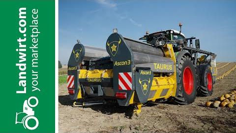 Kürbisernte in neuer Dimension  landwirt.com
