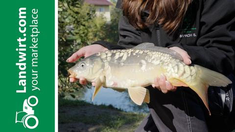 Fischzucht mit System | landwirt.com