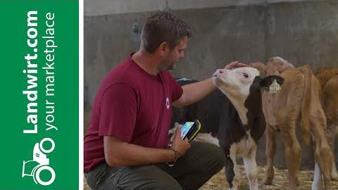Sekundenschnell Kälber erfassen – die digitale Lösung | landwirt.com