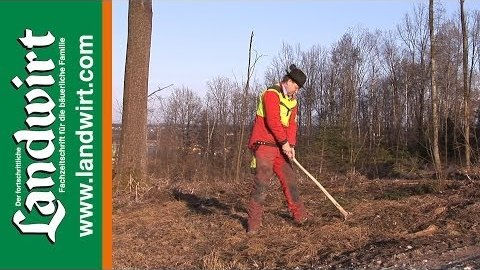 Das Rhodener Pflanzverfahren