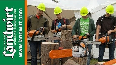 STIHL Motorsägen