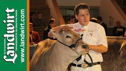 Bundesjungzüchter Championat