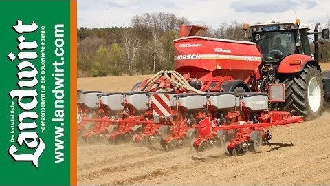 Maisanbau