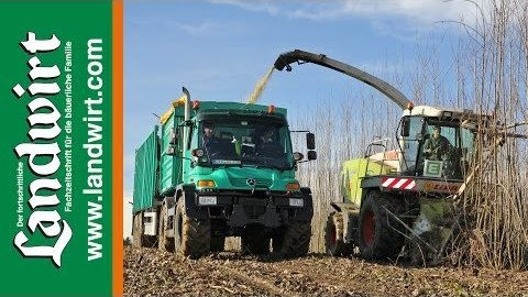 Energieholz Feldtag 2012