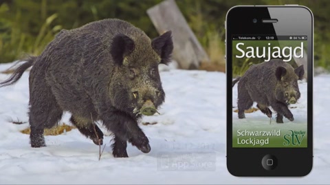 Sau Jagd App