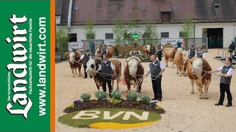 BVN Bullenparade 2013