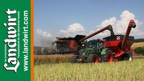 Strip Till Raps: Das Ergebnis