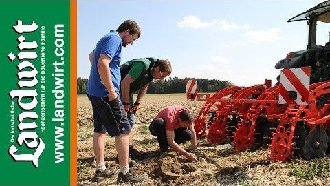 Verschiedene Anbauverfahren Mais: Das Ergebnis