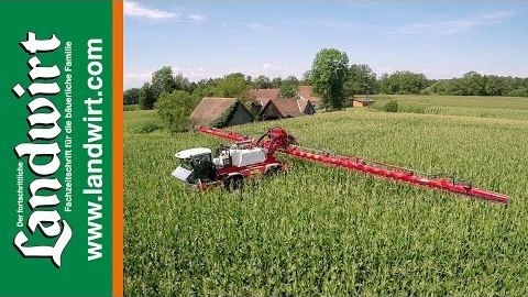 Maiswurzelbohrer bekämpfen