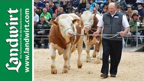 BVN Bullenparade 2015
