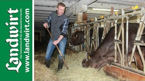 Trockensteher richtig füttern