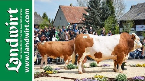 BVN Bullenparade 2016
