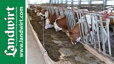 Automatische Futtervorlage mit AGROTEL